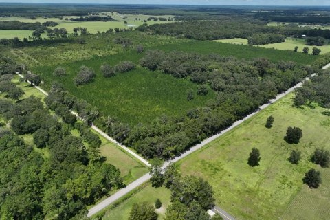 Terreno en venta en Morriston, Florida № 1374726 - foto 18