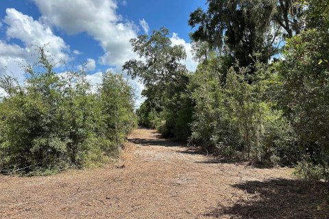 Terrain à vendre à Morriston, Floride № 1374726 - photo 6