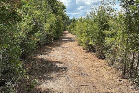 Land in Morriston, Florida № 1374725 - photo 4