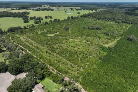 Terreno en venta en Morriston, Florida № 1374724 - foto 8