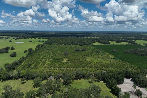 Terrain à vendre à Morriston, Floride № 1374724 - photo 6