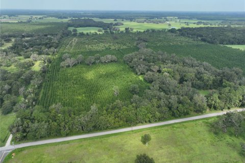 Terrain à vendre à Morriston, Floride № 1374724 - photo 4