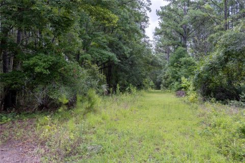 Terreno en venta en Micanopy, Florida № 1321826 - foto 1