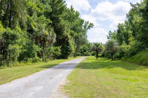 Terreno en venta en Micanopy, Florida № 1321826 - foto 2