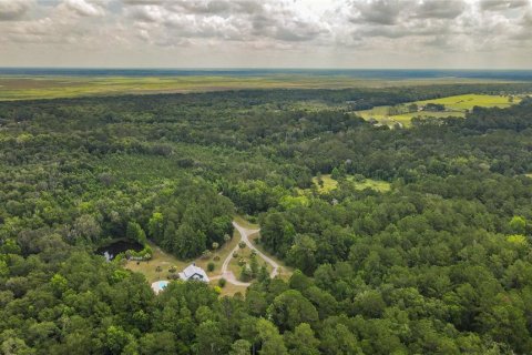 Land in Micanopy, Florida № 1321826 - photo 11