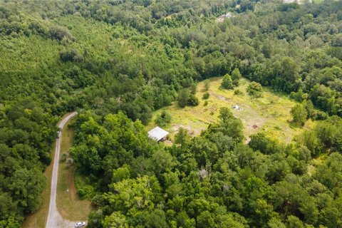 Land in Micanopy, Florida № 1321826 - photo 12