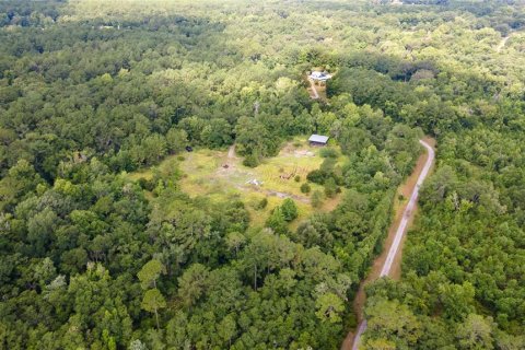 Terreno en venta en Micanopy, Florida № 1321826 - foto 3