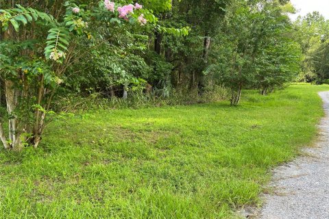 Terreno en venta en Micanopy, Florida № 1321826 - foto 7