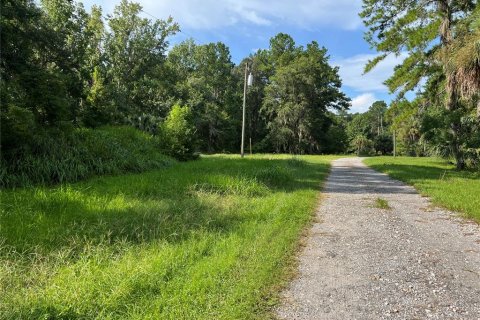 Terreno en venta en Micanopy, Florida № 1321826 - foto 10