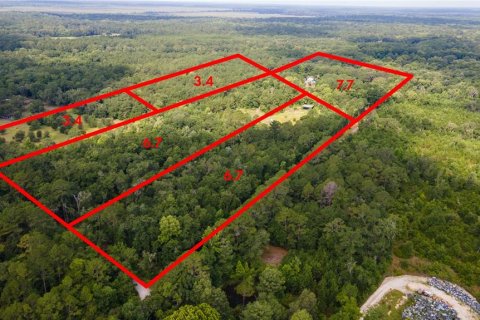 Terreno en venta en Micanopy, Florida № 1321826 - foto 5