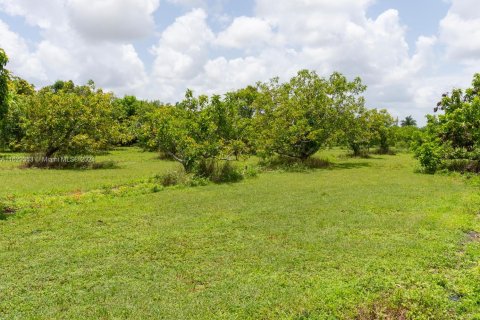 Terrain à vendre à Homestead, Floride № 1289189 - photo 4