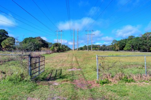 Купить земельный участок в Веллингтон, Флорида № 848159 - фото 7
