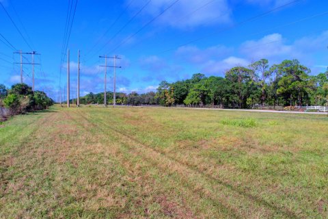 Купить земельный участок в Веллингтон, Флорида № 848159 - фото 2
