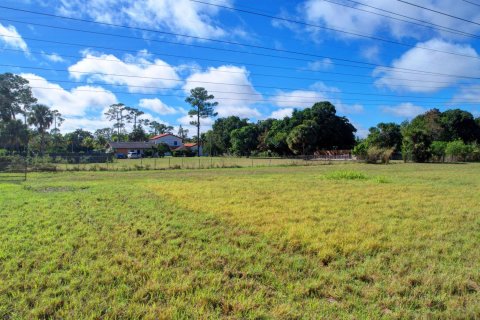 Terrain à vendre à Wellington, Floride № 848159 - photo 1