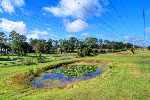 Купить земельный участок в Веллингтон, Флорида № 848159 - фото 3