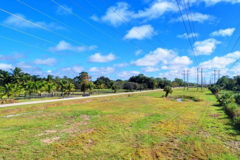 Купить земельный участок в Веллингтон, Флорида № 848159 - фото 5