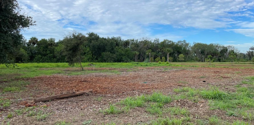 Terrain à Fort Pierce, Floride № 73624