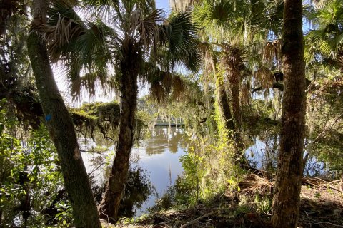 Land in Fort Pierce, Florida № 73624 - photo 17