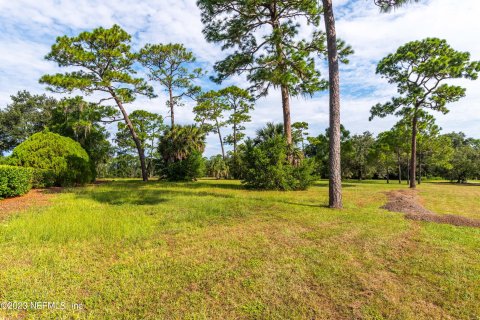 Terrain à vendre à Jacksonville, Floride № 770470 - photo 4