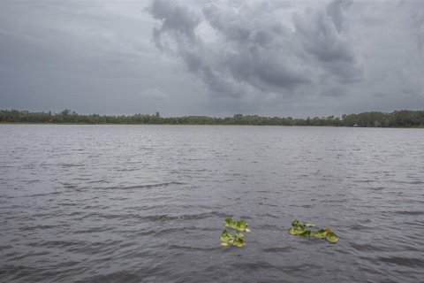 Купить виллу или дом в Хоторн, Флорида 3 комнаты, 295.8м2, № 1289935 - фото 12