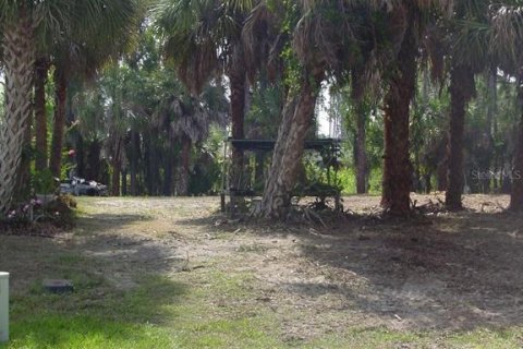 Купить земельный участок в Порт-Шарлотт, Флорида № 217762 - фото 16
