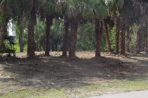 Купить земельный участок в Порт-Шарлотт, Флорида № 217762 - фото 2