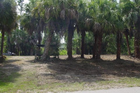 Купить земельный участок в Порт-Шарлотт, Флорида № 217762 - фото 1