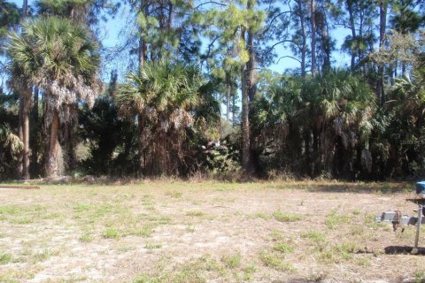Купить земельный участок в Порт-Шарлотт, Флорида № 217762 - фото 15