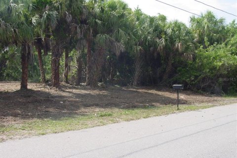 Купить земельный участок в Порт-Шарлотт, Флорида № 217762 - фото 4