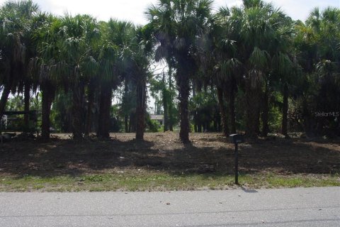 Купить земельный участок в Порт-Шарлотт, Флорида № 217762 - фото 3