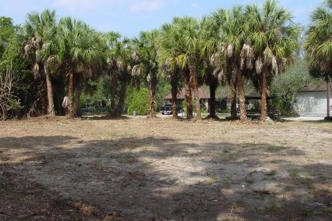 Купить земельный участок в Порт-Шарлотт, Флорида № 217762 - фото 10