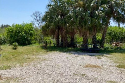 Land in New Port Richey, Florida № 1337807 - photo 10