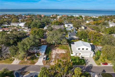 Villa ou maison à vendre à Tampa, Floride: 6 chambres, 398.92 m2 № 1389482 - photo 4