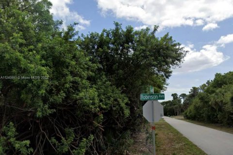 Купить земельный участок в Порт-Шарлотт, Флорида № 25762 - фото 2