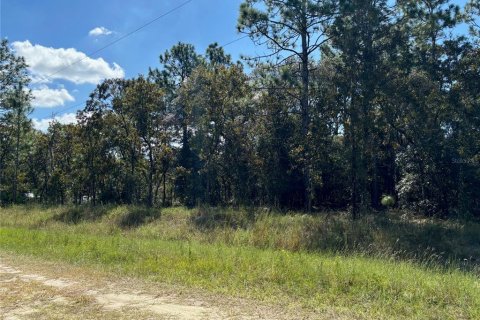 Terrain à vendre à Dunnellon, Floride № 1377912 - photo 2