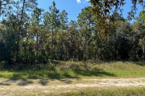 Terreno en venta en Dunnellon, Florida № 1377912 - foto 3