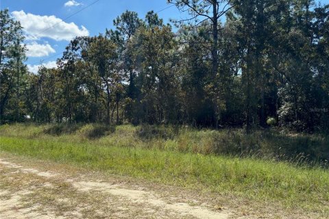 Land in Dunnellon, Florida № 1377912 - photo 1