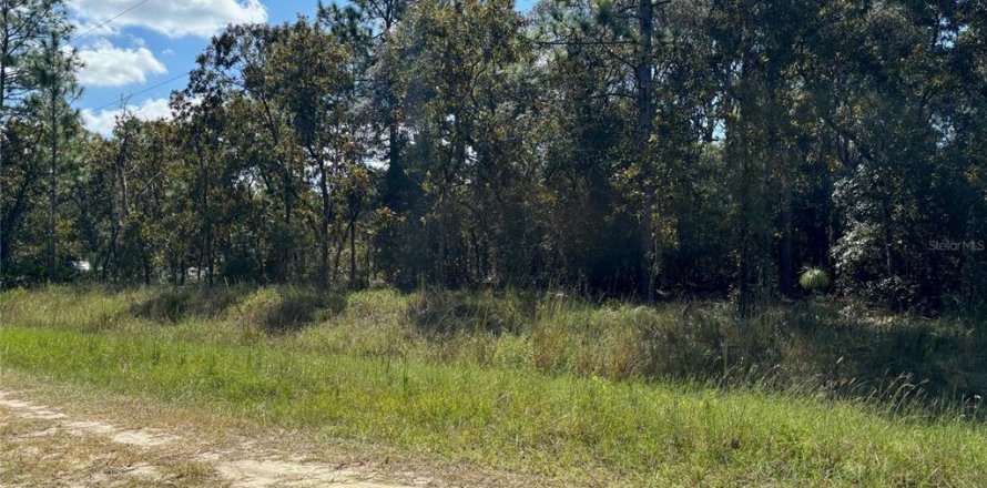 Terrain à Dunnellon, Floride № 1377912