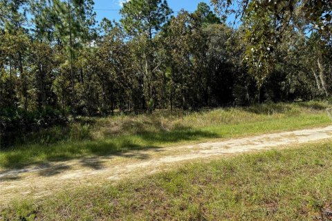 Terrain à vendre à Dunnellon, Floride № 1377912 - photo 4