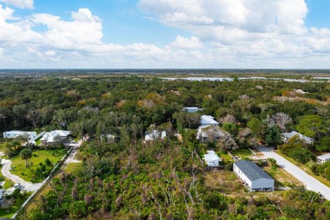 Купить земельный участок в Палм-Кост, Флорида № 937074 - фото 4