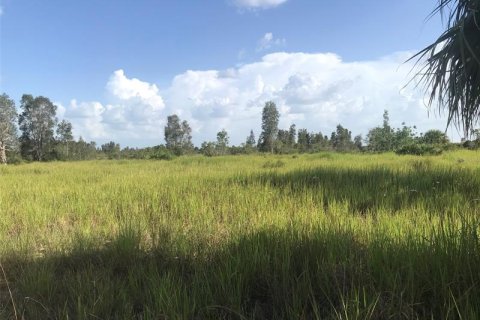 Land in Punta Gorda, Florida № 219708 - photo 7
