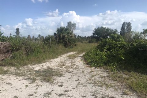 Купить земельный участок в Пунта-Горда, Флорида № 219708 - фото 24