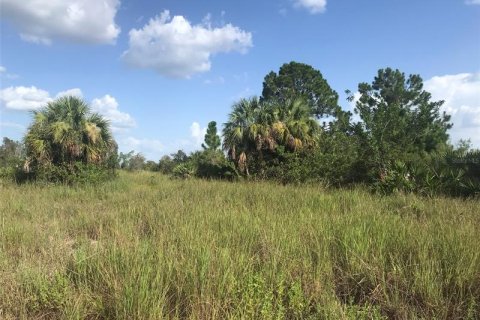 Купить земельный участок в Пунта-Горда, Флорида № 219708 - фото 12