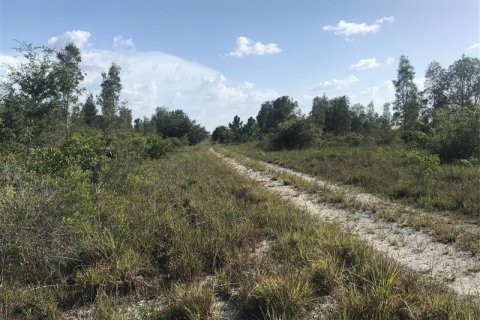 Terreno en venta en Punta Gorda, Florida № 219708 - foto 2