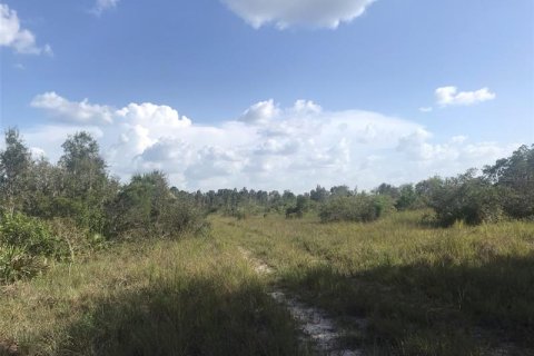 Land in Punta Gorda, Florida № 219708 - photo 4
