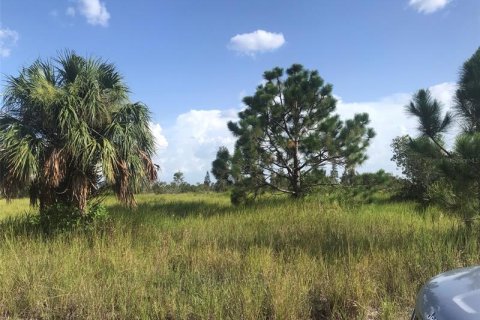 Купить земельный участок в Пунта-Горда, Флорида № 219708 - фото 9