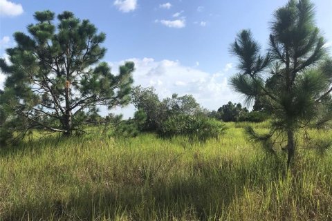Terreno en venta en Punta Gorda, Florida № 219708 - foto 8