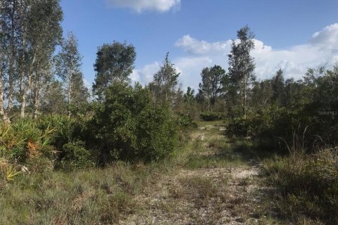 Terrain à vendre à Punta Gorda, Floride № 219708 - photo 3