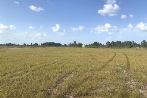 Terrain à vendre à Punta Gorda, Floride № 219708 - photo 16