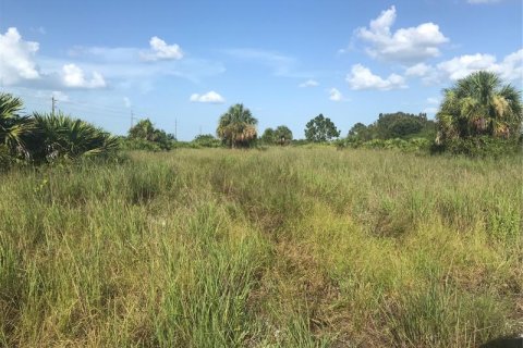 Land in Punta Gorda, Florida № 219708 - photo 10